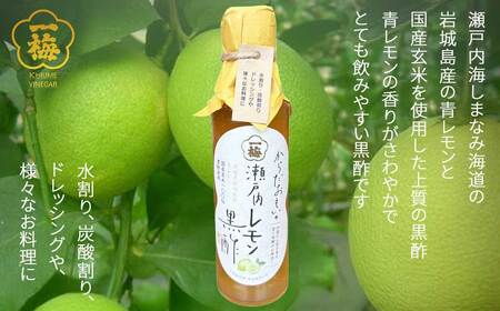 四国の逸品 からだおもいの飲むお酢 飲み比べ 2種 200ml×2本 セット （はちみつ梅酢 瀬戸内レモン黒酢） お酢ドリンク  【一梅酢】