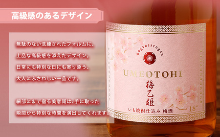 うまかぞー九州 本格梅酒 梅乙姫 720ml 梅酒 KN163-002 酒