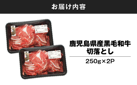 鹿児島県産 黒毛和牛 切り落し 計500g KN102-006-01 肉 牛肉 冷凍