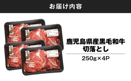 鹿児島県産 黒毛和牛 切り落し 計1kg KN102-006-02 肉 牛肉 冷凍