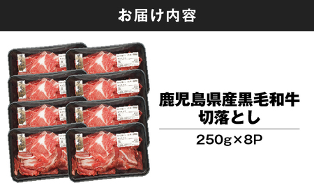 鹿児島県産 黒毛和牛 切り落し 計2kg KN102-006-03 肉 牛肉 冷凍