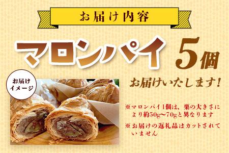 地元の栗を使用 職人の作る特別なマロンパイ 5個入り　匠の技 老舗菓子店ひのでや手作りスイーツ マロンパイ パイ 栗 くり おやつ お土産 プレゼント バレンタイン ホワイトデー 佐賀県 鹿島市 話題 人気 送料無料　B-877