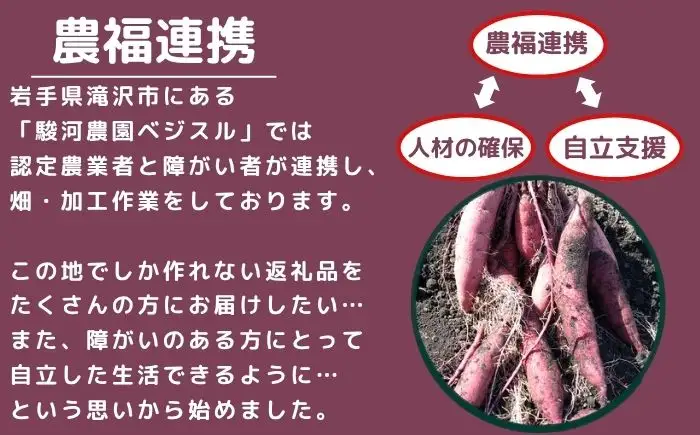 【 先行予約 10月 発送】 さつまいも 紅はるか 5kg 【駿河農園ベジスル】 サツマイモ さつま芋 薩摩芋 5キロ ５キロ ５ｋｇ 5000g M L LL 3L やさい 野菜 冬野菜 秋野菜 風物詩 定番 旬 焼き芋 やきいも 焼芋 いも 芋 イモ おいも おやつ 人気 美味しい 甘い 国産 岩手県産 産地直送 予約 おすすめ オススメ