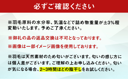 【訳あり】【夏用】セミダブル掛け布団 羽毛0.4kg アイボリー / 布団 [AFAO031]