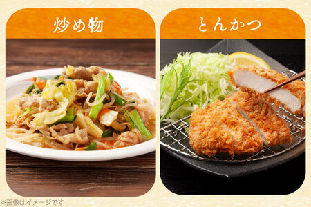 豚肉 バラエティ セット 計3kg ロース とんかつ用 豚こま 肩ロース スライス 切り落とし しゃぶしゃぶ [司フーズ・システム 兵庫県 三田市 3d28bdy500013] 