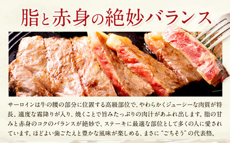 熊本県産 牛 サーロイン ステーキ 280g 2P株式会社共同 熊本ミートセンター 肉 お肉《30日以内に出荷予定(土日祝除く)》 牛肉 おかず 熊本県産 国産 熊本県 菊池市