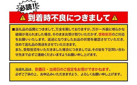 “九州熊本産” 飲み比べ オールフリー 香るエール 48本 350ml × 各 24本 《30日以内に出荷予定(土日祝除く)》阿蘇天然水100％仕込 ビール ギフト お酒 アルコール 熊本県御船町 缶ビール