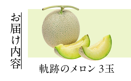 藤原農園　アールスメロン　３玉