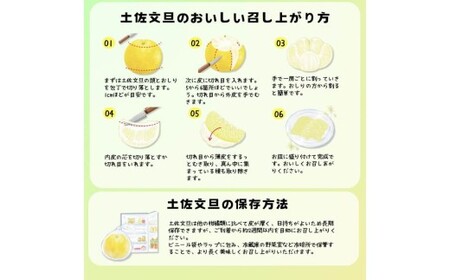 【先行予約】訳あり 温室土佐文旦 家庭用 5kg (8~12玉）〈2026年12月上旬から発送〉/文旦 ぶんたん ブンタン 土佐文旦 ハウス栽培 甘い 柑橘 フルーツ 果物 ご当地 産地直送 お取り寄せ【土佐文旦の藤岡】 [BQBJ005]