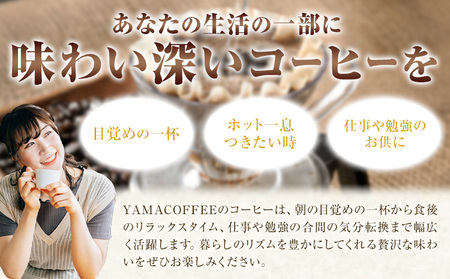 コーヒー豆 3ヶ国 飲み比べ 豆 計600g