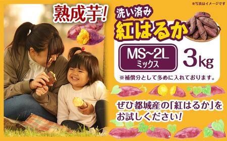 【熟成芋】芋名人が認めるさつまいも『洗い済み　紅はるか』3kg MS～2Lミックス ※12月～1月頃順次発送_LD-L704-J_(都城市) 宮崎県都城産 紅はるか MS～2Lミックス