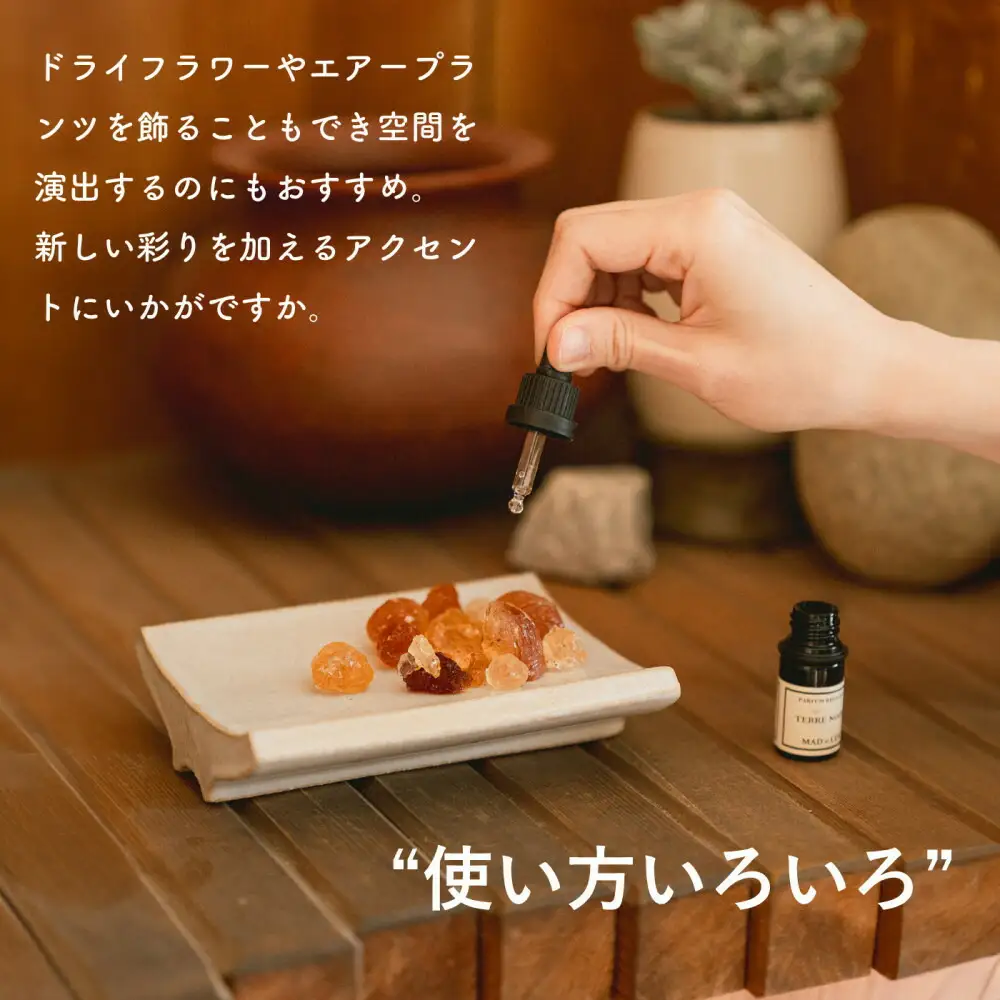 [HIJICA]Arch Tray ホワイト　HJC-13WT