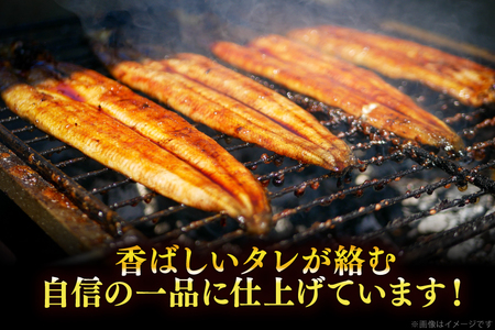 【定期便3回】 うなぎ 蒲焼 国産 特大 2尾 [um40bak830018] うなぎ