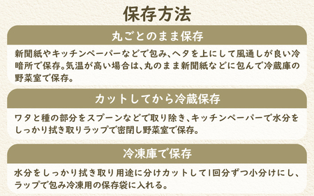 【先行予約】奥能登 穴水産 「赤土 夏かぼちゃ」約10kg（約4～7個）【2026年8月頃より順次発送】|  南瓜 カボチャ 甘い