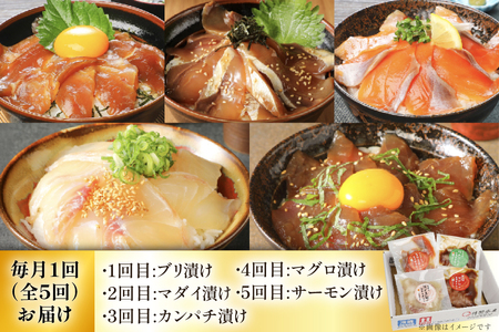 海鮮丼 海鮮漬け丼 5か月 定期便 [請関水産 宮崎県 日向市 452061670]