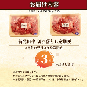 【3回定期便 】 牛肉 切り落とし 新発田牛 計3kg 切り落とし enomoto029