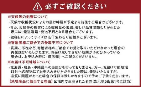 熊本県産 スイートコーン ミルキースイーツ 約5kg とうもろこし やさい 野菜 トウモロコシ 【2026年6月上旬発送開始】