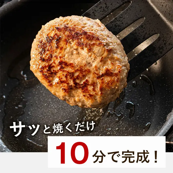 【定期便12ヶ月】淡路島たまねぎプレミアムハンバーグ　10個×12ヶ月