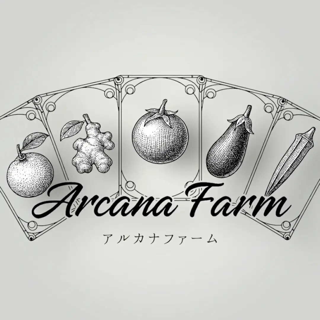 【野菜】野菜セット 8~11品