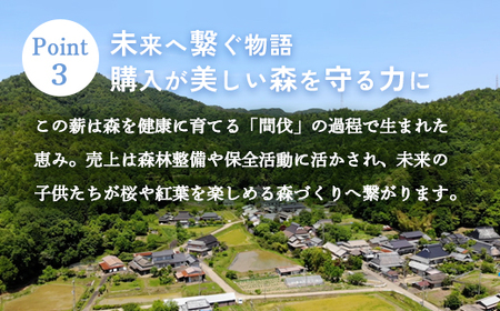 薪 広葉樹 ミックス 25kg (クヌギ ナラ カシ) 