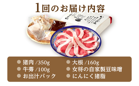 猪肉 【2回定期便】ぼたん鍋 2-3人前 猪肉350g [ANCJ006] 猪肉