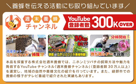 【定期便】 ニホンミツバチのはちみつ 600g×3回 | 蜂蜜 はちみつ ハチミツ 百花蜜