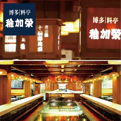 Y81-01 寄附額改定↓↓ 稚加榮 辛子明太子（化粧箱入）222g MA2 明太子