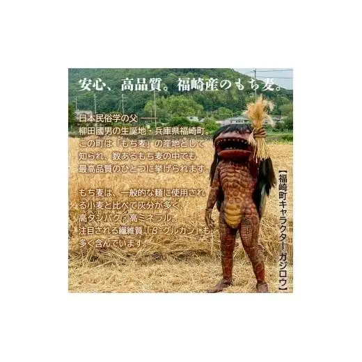 もち麦カレー 30箱入 福崎町産もち麦使用 レトルト カレー もち麦 お手軽 非常食 保存食