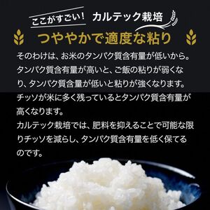 令和7年産 京都丹波産 コシヒカリ 5kg 西村ファーム 京ほたる米