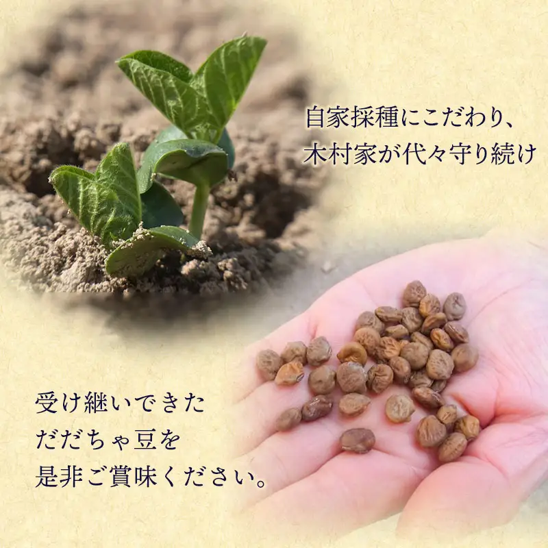 【令和8年産先行予約】 木村九八郎の朝採り！新鮮！だだちゃ豆 「本豆」 1kg（250g×4袋） 山形県鶴岡市産　K-829