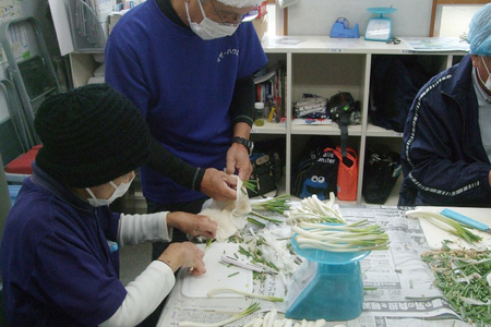 【期間限定発送】島らっきょう 生 皮むき 250g 4袋 計 1kg [ミュージアム 沖縄県 伊江村 ie47bde230011]