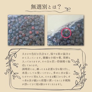 ≪ 訳あり≫ 無選別 冷凍ブルーベリー 4kg ブルーベリー 果物 フルーツ 朝食 ヨーグルト スムージー 健康 訳アリ【有限会社伊豆沼農産】tm440
