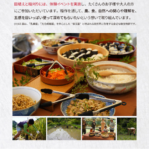 【ふるさと納税】＜薫る神様のお米 奉納米 縁起米 約3合×1袋＞希少米 香り米 奇跡の復活 ふさなり 栽培期間中、化学農薬化学肥料不使用 【常温】