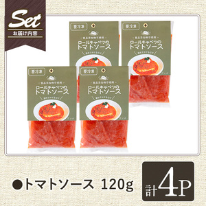 No.1314-B 素材にこだわったトマトソース(120g×4袋) トマトソース 惣菜 添加物不使用 簡単調理 湯煎 冷凍 数量限定【常日頃、】