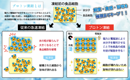 【訳アリ】養殖本マグロ 赤身 3kg 黒潮本まぐろ 大容量 不定貫 刺身 まぐろ 鮪 業務用 訳あり