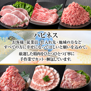 K-618-B 鹿児島県産豚切り落とし 真空パック250g×10P(計2.5kg)【ハピネス】霧島市 肉 豚肉 豚 精肉 鹿児島県産 切り落とし セット 小分け 冷凍