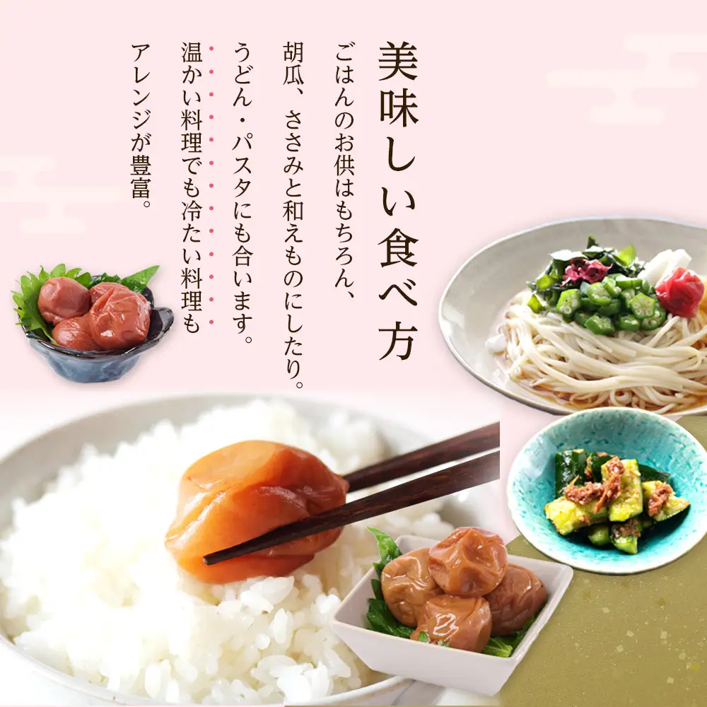 無選別 和歌山の完熟南高梅 味が染み込んだ梅干し しそ味 500g 塩分10％ [定期便 毎月発送・全12回]
