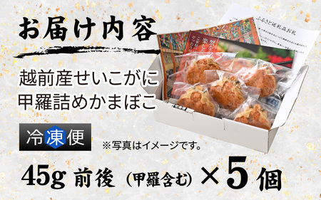 蟹好き集まれ！ 越前産せいこがに 甲羅詰めかまぼこ【45g前後 5個】 [A-096028] / ズワイガニ セイコガニ 越前がに 甲羅盛り かに 冷凍 蟹 楚蟹 セイコ蟹 越前かに 香箱がに こうばこがに 親ガニ こっぺがに せこがに 甲羅蟹 甲羅がに 香箱蟹 カニカマ 蒲鉾