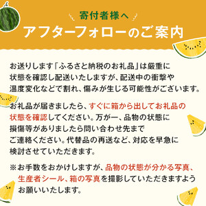【先行予約】鳥取県北栄町産 金色羅皇スイカ 1玉 7-9キロ前後（こちらの返礼品は、大栄西瓜ではありません）【西瓜 西瓜 すいか すいか 果物 くだもの フルーツ】