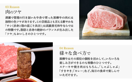 黒樺牛 ステーキ 焼き肉セット 約1.1kg