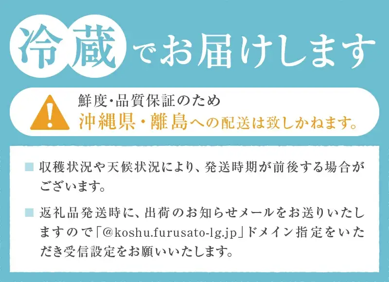 ワイン マルサン葡萄酒 甲州ワイン＆甲州ぶどう ちょっとニッチなセットになります！（MG）B13-670