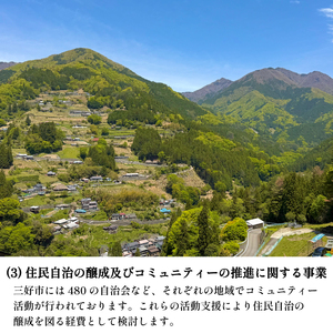 【 返礼品なし 300,000円 寄附 】 徳島県 三好市 への 寄附 応援寄附金