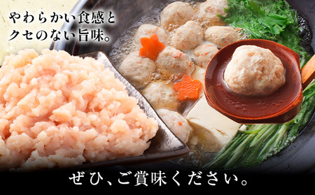 鹿児島県産 若どりミンチ 2kg 500g×4パック 株式会社 寺師《60日以内に出荷予定(土日祝除く) 》鹿児島県 さつま町 鶏肉 鶏ミンチ とり肉 トリ肉