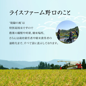  【信濃大町産】特別栽培米　稜線の風（あきたこまち） 10kg | ブランド 米 新米 長野 信州