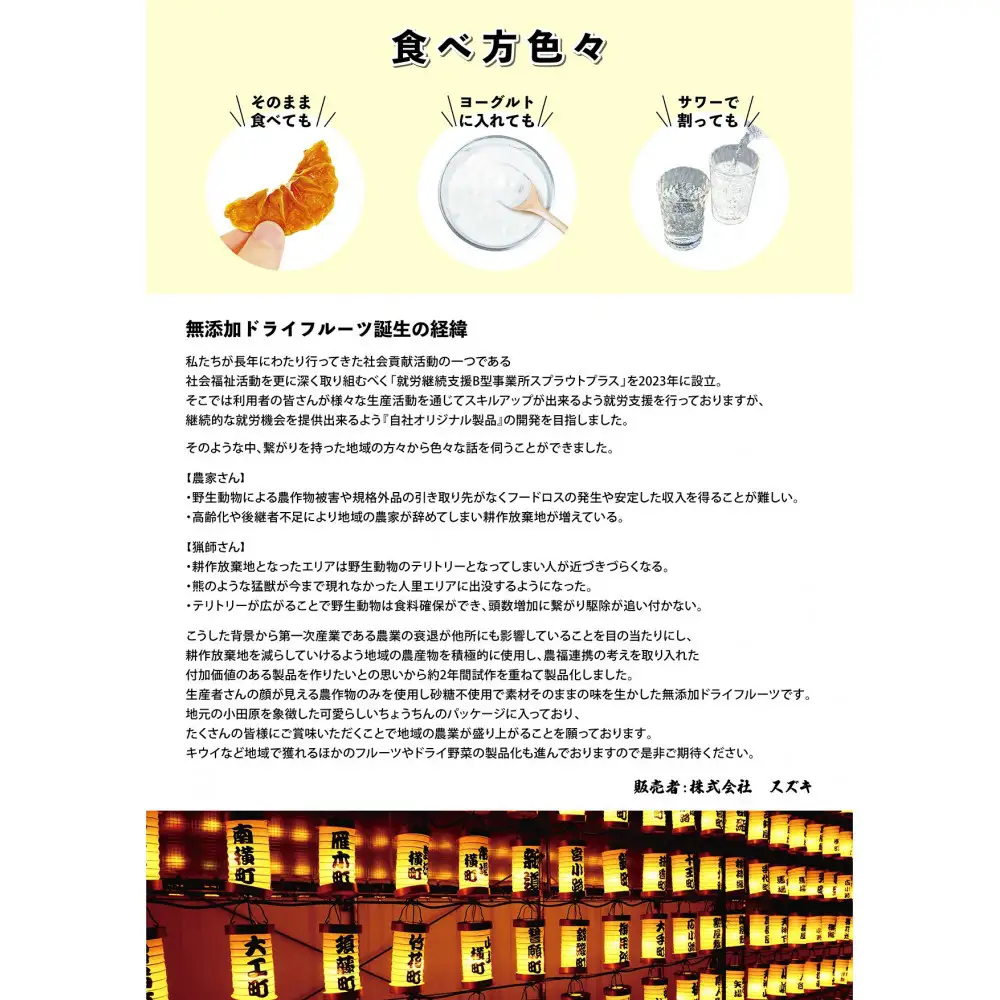 無添加ドライフルーツ(キウイ)16g×2袋入【 神奈川県小田原市 】