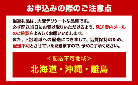 シャインマスカット マスカット 晴王 岡山県産 ぶどう【2026年先行予約】シャインマスカット 晴王 1房 750g 岡山県産《2026年9月上旬-10月末頃出荷(土日祝除く)》 ハレノフルーツ マスカット 送料無料 岡山県 浅口市 フルーツ 果物 贈り物 ギフト 国産 岡山県産 くだもの 青果物 【配送不可地域あり】（北海道・沖縄・離島）