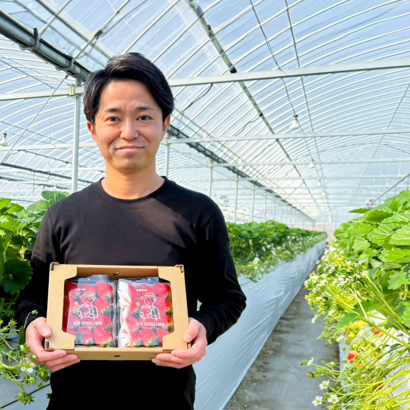 スピード発送 冷凍いちご（いちごさん）1kg 【8/12ICHIGOFARM】[IBR004]