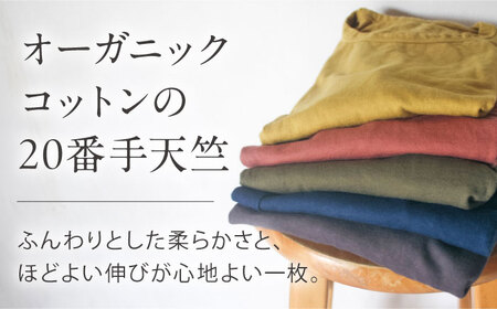 オーガニックコットン 完熟Tシャツ　【群青色】Mサイズ / オーガニック コットン 綿100　手染め 草木染め Ｔシャツ 半袖 トップス ファッション インナー 女性用 レディース 男性用 メンズ ユニセックス 男女兼用 ギフト 贈答 プレゼント / 大村市 / ISTIST[ACZW056-2]
