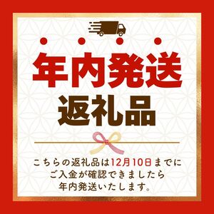 【定期便3回】ココイチ カレーMセット （ポーク10個）  (毎月お届け）｜栃木県・矢板市