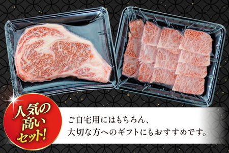 AJ465 長崎和牛 ロースステーキ バラ 焼肉 セット 500g [ 長崎県 島原市 ]